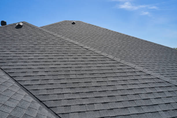 Best Sheet Metal Roofing  in Santo Domingo Pueblo, NM